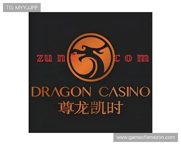 尊龙时凯官方网站入口：详细介绍官方入口的登录流程与安全保障措施